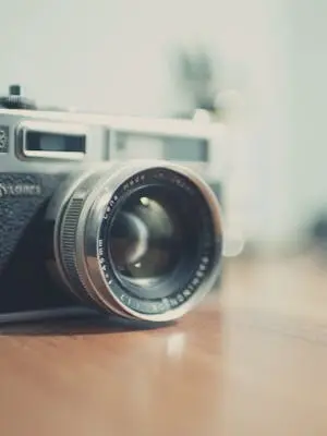 Legal Practice Areas